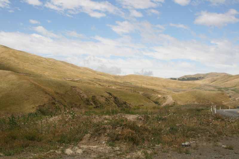 Nieuw-Zeeland 2011 - 1067